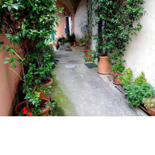 Il Nido delle Rondini