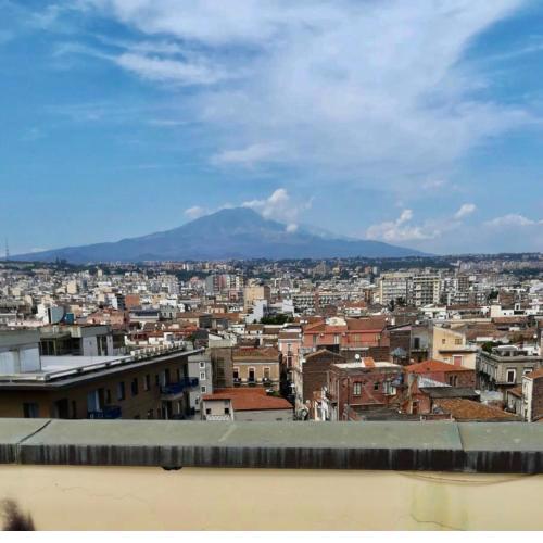 il panorama sull'Etna