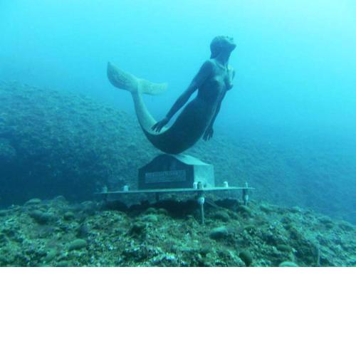 Il Paradiso Sul Mare
