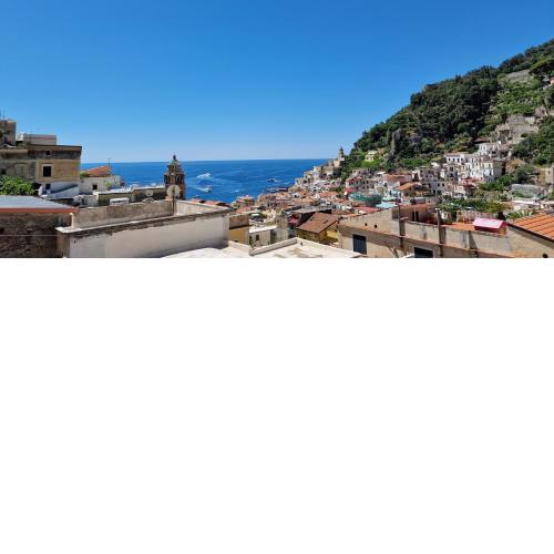 Il Pellicano
