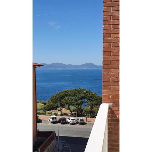 Il pesce azzurro