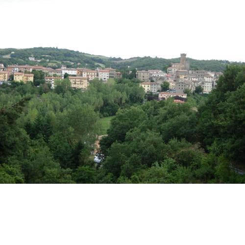 Il Pino Amiata