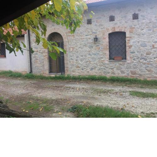 Il pino marittimo