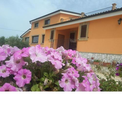 Il Poggetto Marzamemi B&B