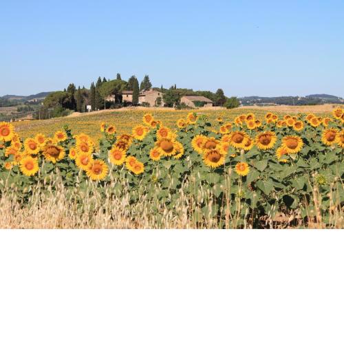 Il Poggio B&B