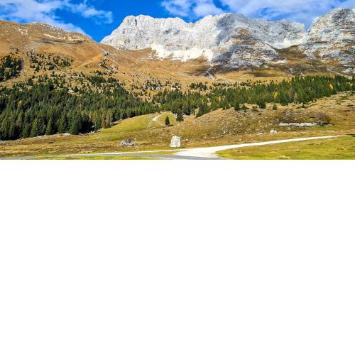 IL RISVEGLIO