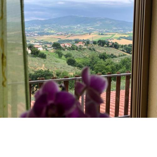 Il ROSSO con Vista