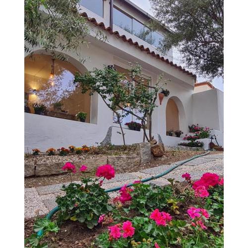Il Salice b&b