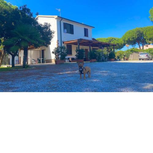 Il Tombolo