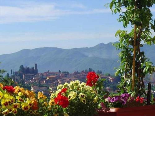 Il Trebbio