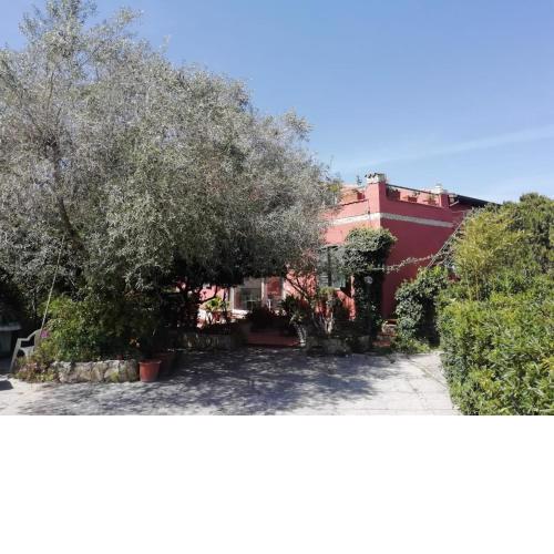 Il Vecchio Lentisco