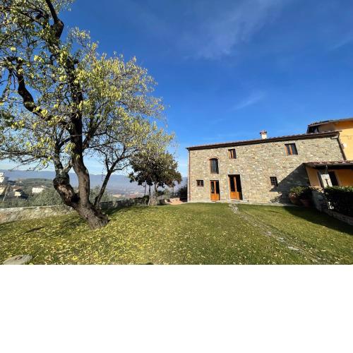 Il Vecchio Mandorlo