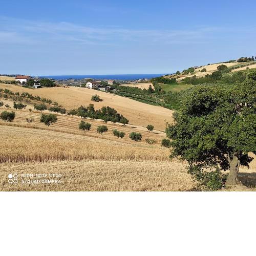 Il viaggio dei Sensi