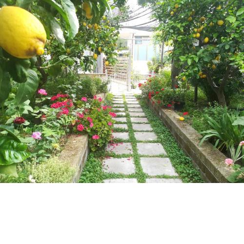 Il vialetto dei limoni