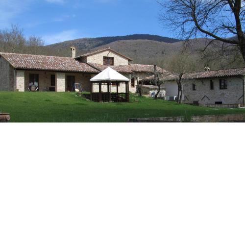 Il Vignale