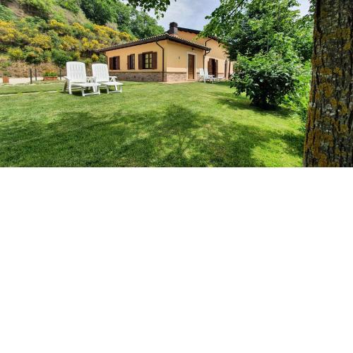 Il Vigneto