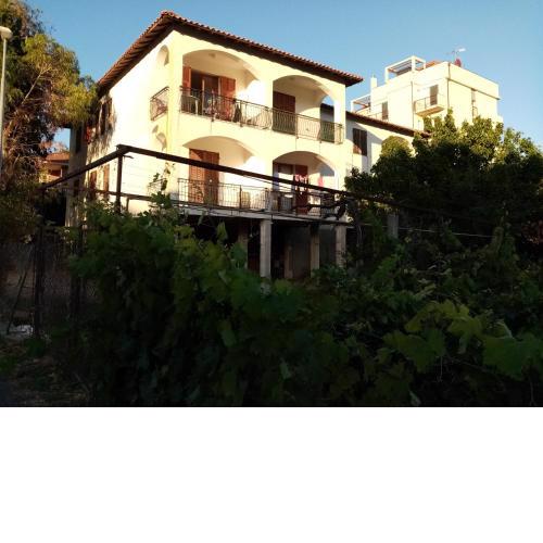 IL VIGNETO