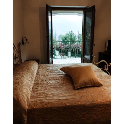 Il Vigneto