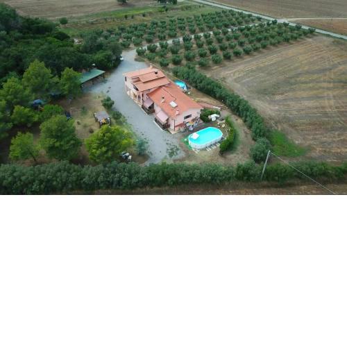 ilboschetto magnolia