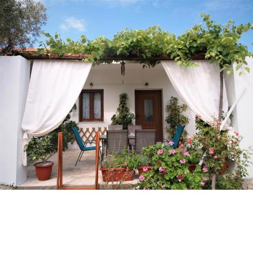 ilioni's house