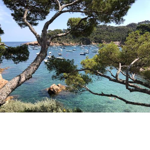 Illa Blanca Mar Fornells