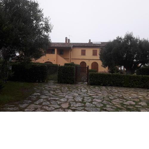 IMMERSA NEL VERDE