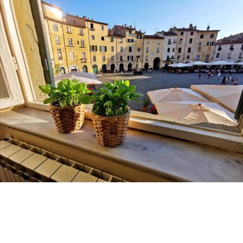 In Anfiteatro. Vivere Lucca immersi nella storia