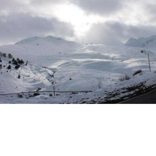 Inmobiliaria Formigal - admite mascotas