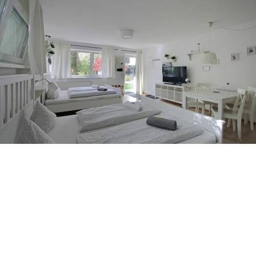 Innsbruck Apartment Nigler