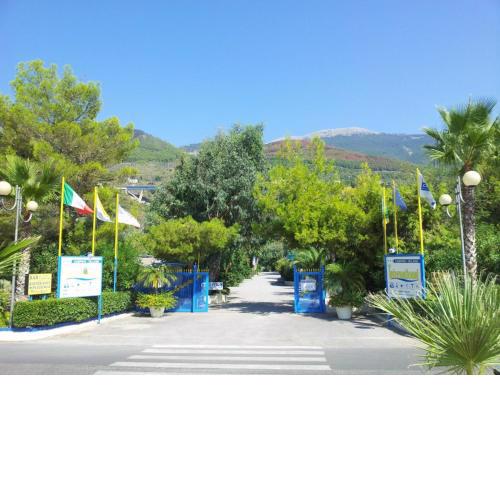International Camping Village