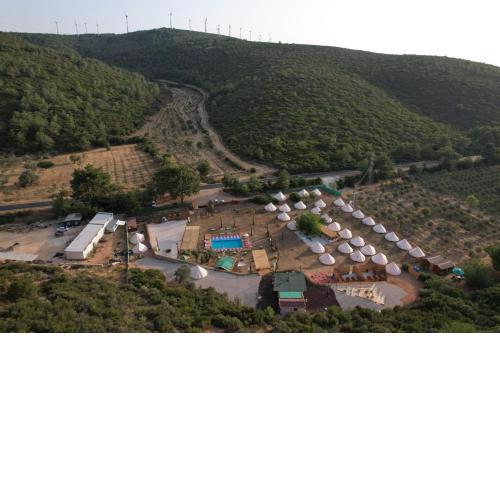 İnto the wild glamping