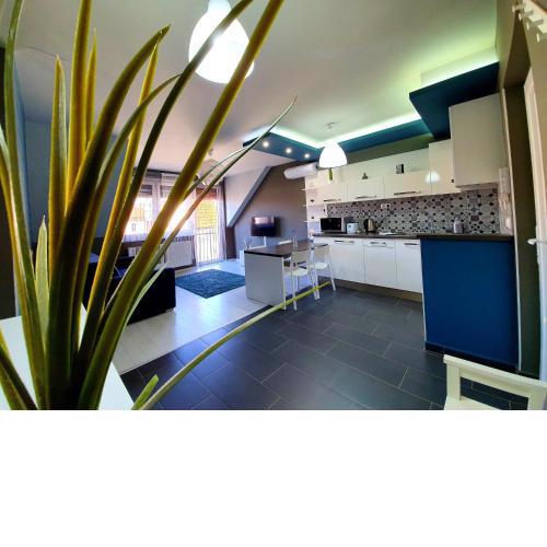 INTRO Apartman