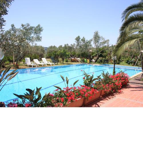 Inviting holiday home in Maida with swimming pool