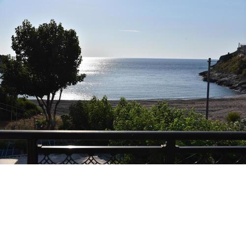 Irene's Beach Front house