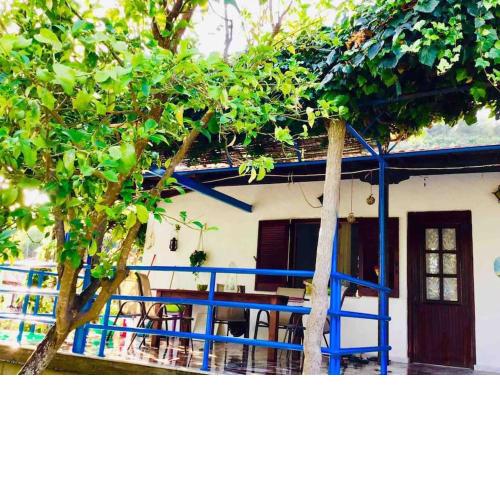 Irene's House, House in the nature