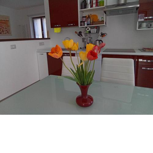 Iris home