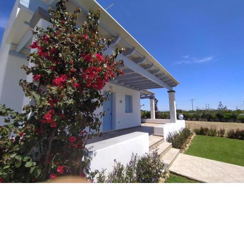 IRO, House in Gyrismata