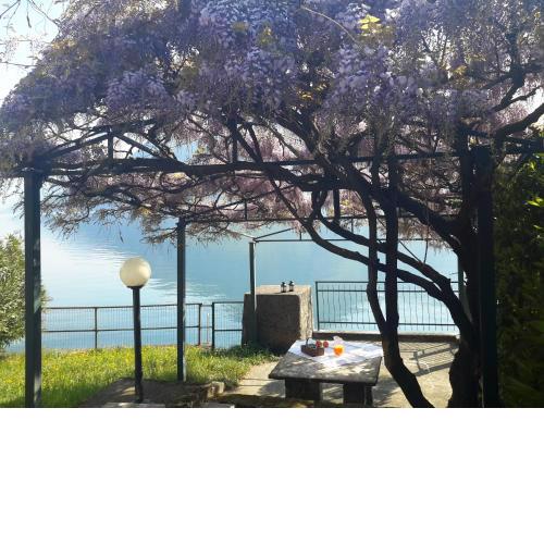 IseoLakeRental - La Villina - Zù