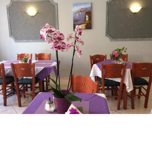Isidora Hotel