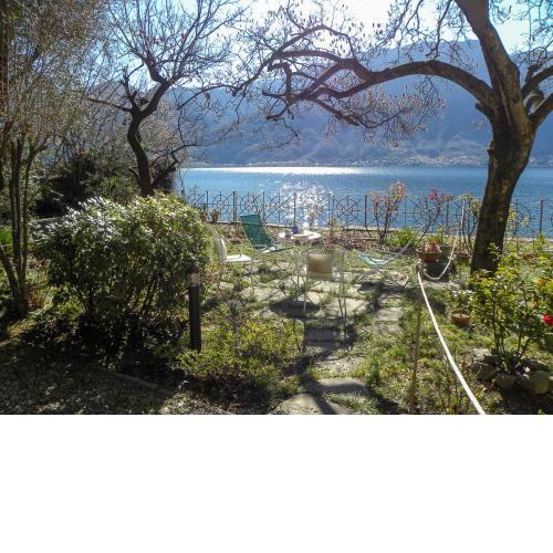 Island Garden