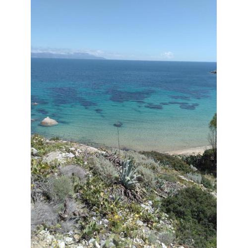 Isola del Giglio