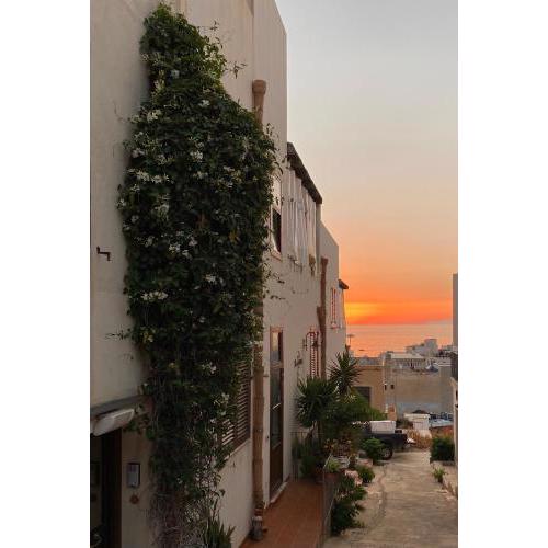 Isoladelmiele