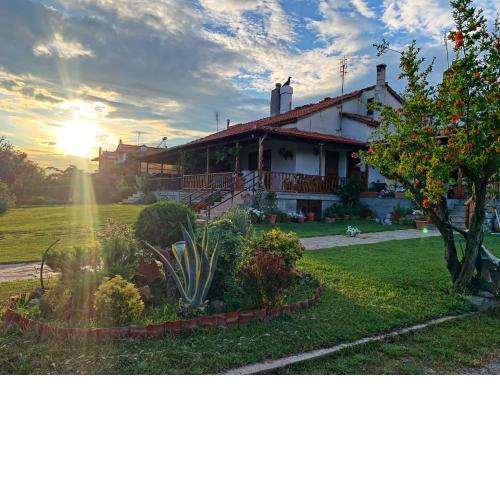 Ivonnis Garden