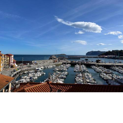 IZARO EYE BERMEO by Urdaibai Rentals