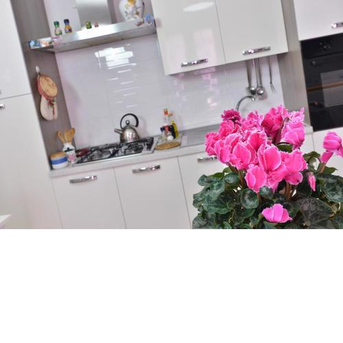 IzzHome Regina Margherita