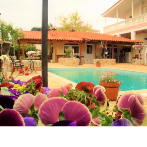 Jacuzzi Pool House AMA5690
