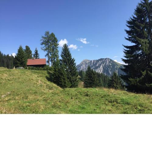 Jagdhütte Gammeringalm