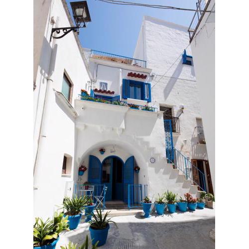 Janela Blue