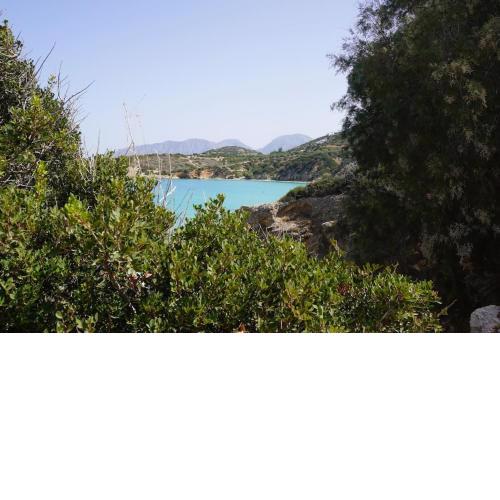 Jasmine Summer House