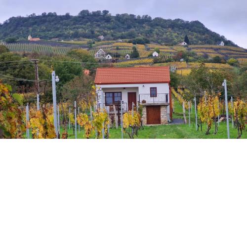 Jera Pince és Vendégház